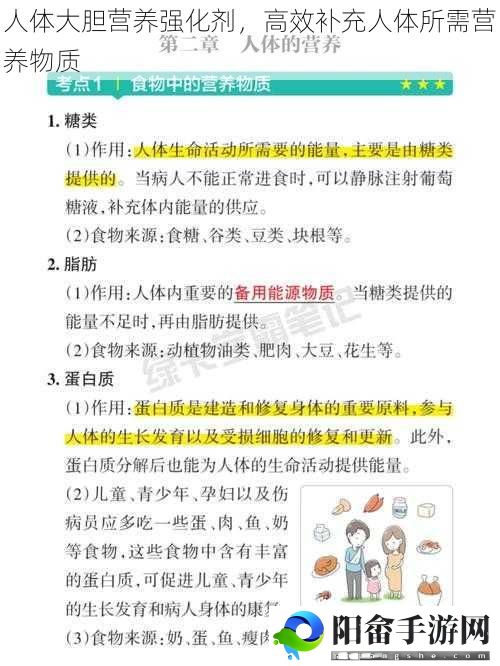 人体大胆营养强化剂，高效补充人体所需营养物质