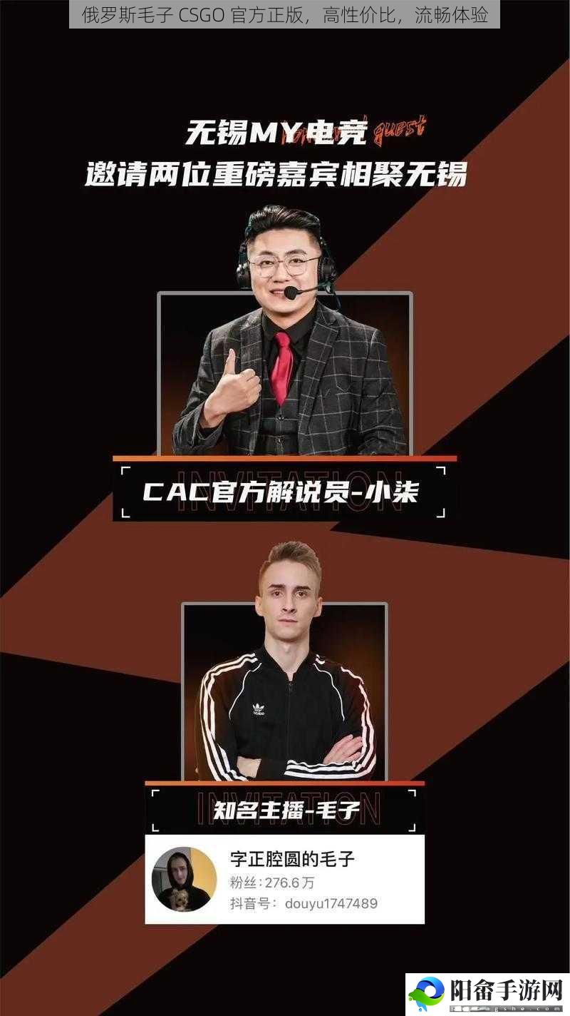 俄罗斯毛子 CSGO 官方正版，高性价比，流畅体验