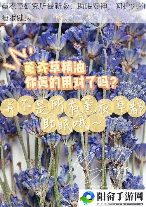 薰衣草研究所最新版：助眠安神，呵护你的睡眠健康