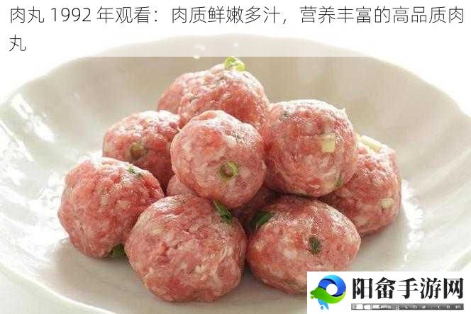 肉丸 1992 年观看：肉质鲜嫩多汁，营养丰富的高品质肉丸