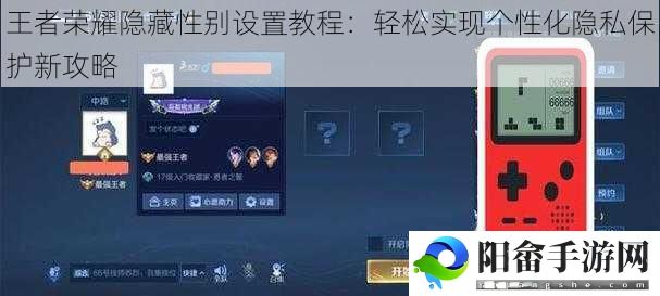 王者荣耀隐藏性别设置教程：轻松实现个性化隐私保护新攻略