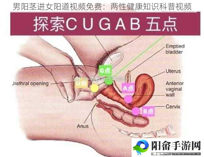 男阳茎进女阳道视频免费：两性健康知识科普视频