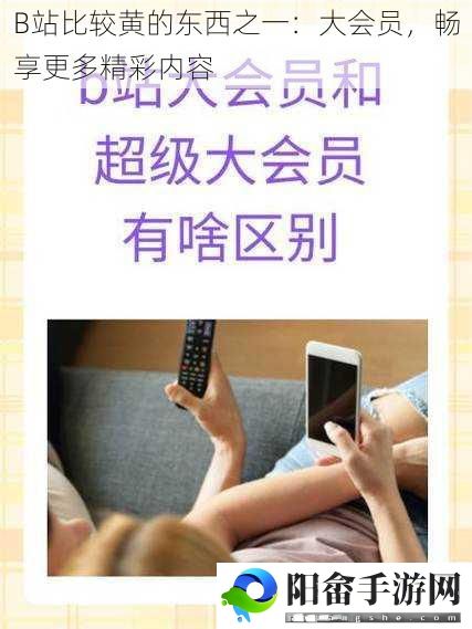 B站比较黄的东西之一：大会员，畅享更多精彩内容