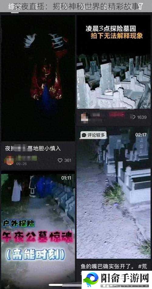 深夜直播：揭秘神秘世界的精彩故事