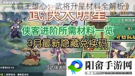 《霸王雄心：武将升星材料全解析》