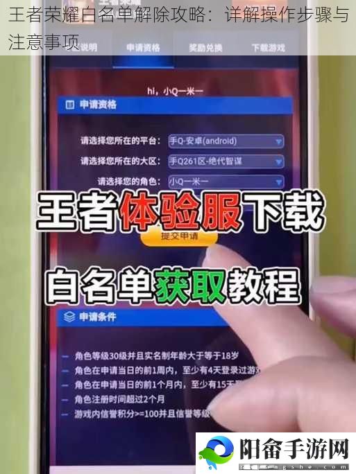 王者荣耀白名单解除攻略：详解操作步骤与注意事项