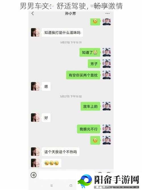 男男车文：舒适驾驶，畅享激情