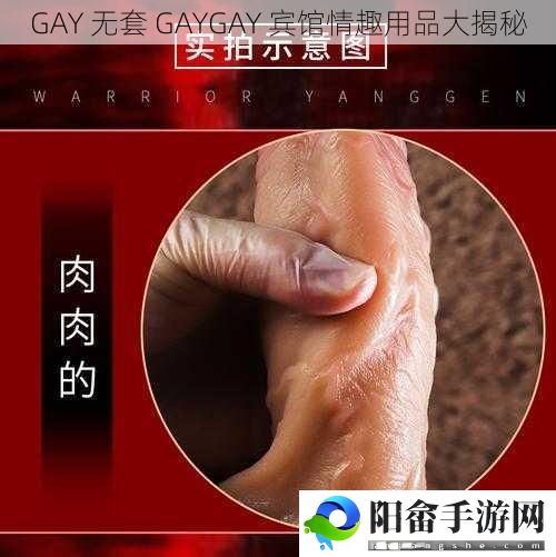 GAY 无套 GAYGAY 宾馆情趣用品大揭秘