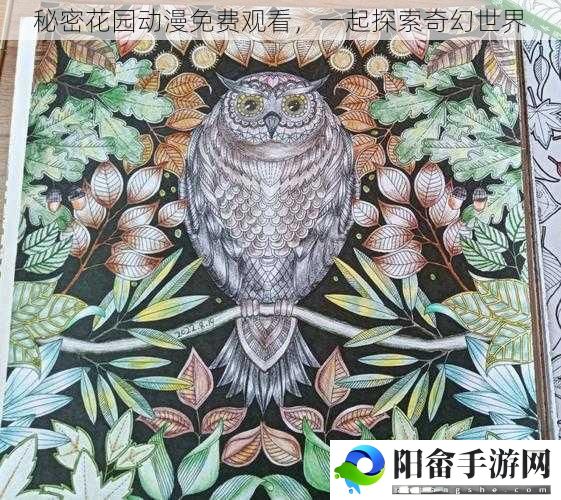 秘密花园动漫免费观看，一起探索奇幻世界