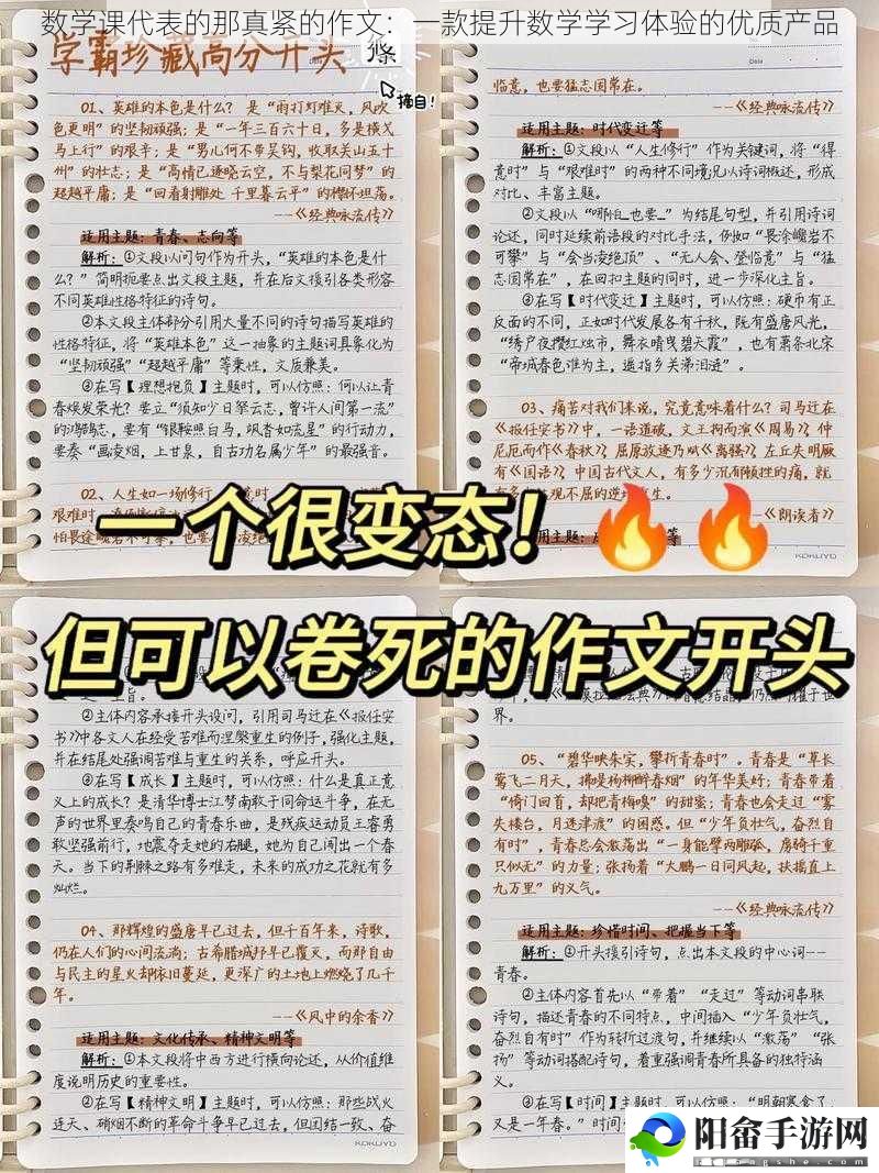 数学课代表的那真紧的作文：一款提升数学学习体验的优质产品