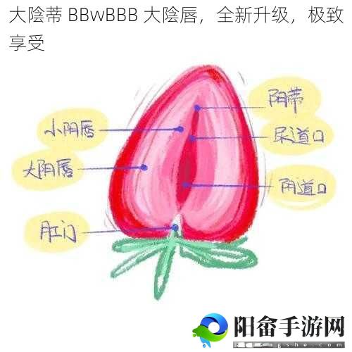 大陰蒂 BBwBBB 大陰唇，全新升级，极致享受