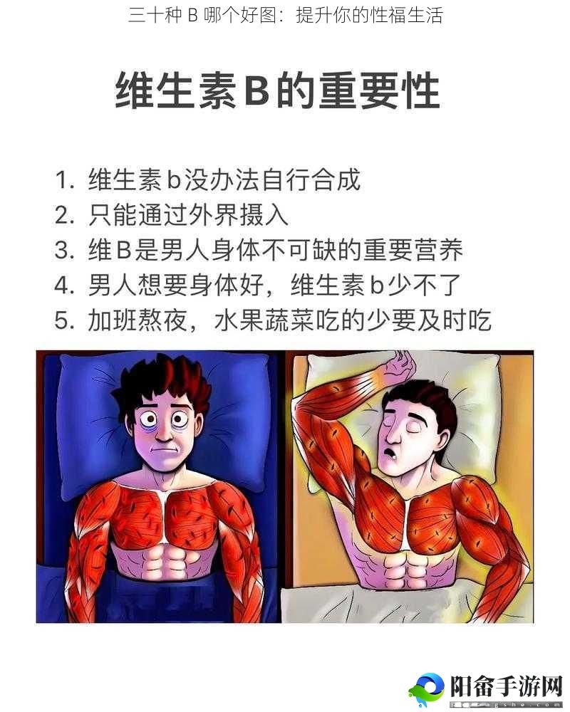 三十种 B 哪个好图：提升你的性福生活