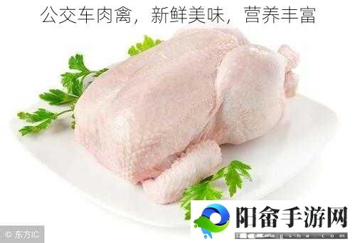 公交车肉禽，新鲜美味，营养丰富