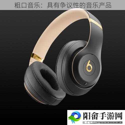 粗口音乐：具有争议性的音乐产品