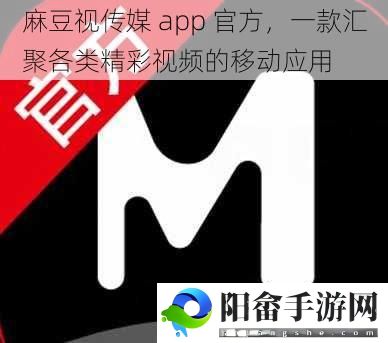 麻豆视传媒 app 官方，一款汇聚各类精彩视频的移动应用