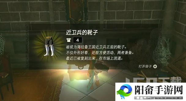 塞尔达传说王国之泪近卫兵套装怎么获得 近卫兵套装获取攻略[多图]图片1