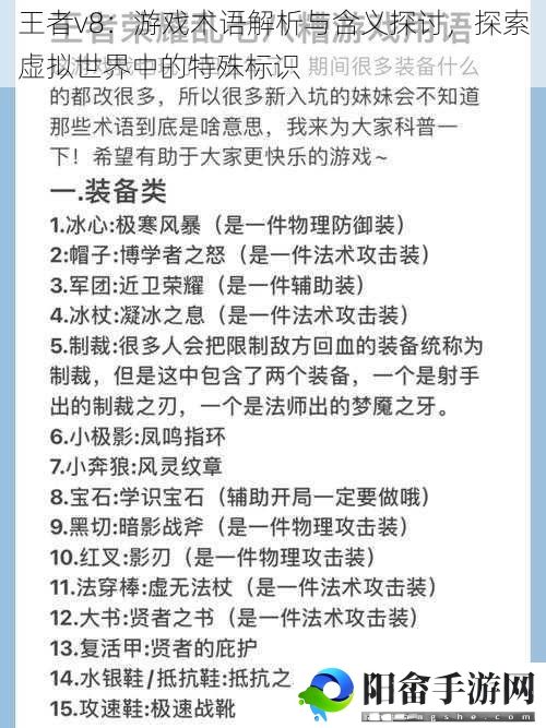 王者v8：游戏术语解析与含义探讨，探索虚拟世界中的特殊标识