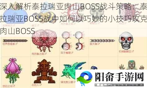 深入解析泰拉瑞亚肉山BOSS战斗策略：泰拉瑞亚BOSS战中如何以巧妙的小技巧攻克肉山BOSS