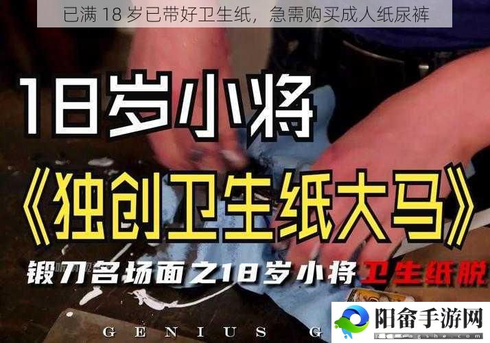 已满 18 岁已带好卫生纸，急需购买成人纸尿裤