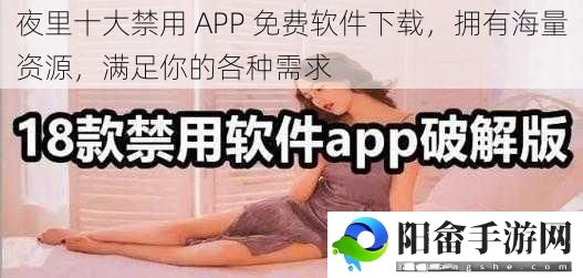 夜里十大禁用 APP 免费软件下载，拥有海量资源，满足你的各种需求