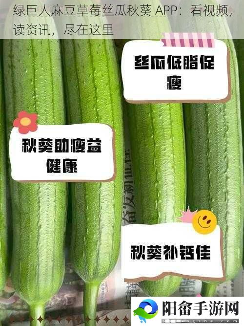 绿巨人麻豆草莓丝瓜秋葵 APP：看视频，读资讯，尽在这里